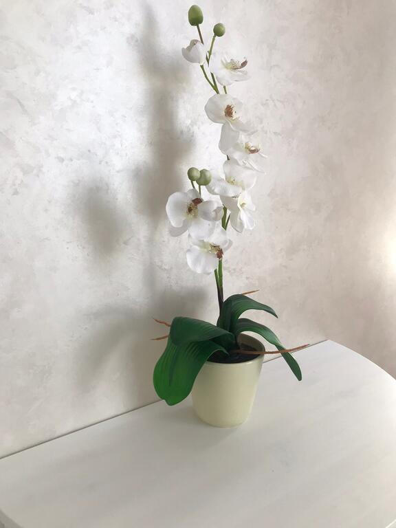 Apartment In A Quiet Location - thumb 2