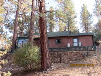 Apple Bear Cabin Tourism Bookings