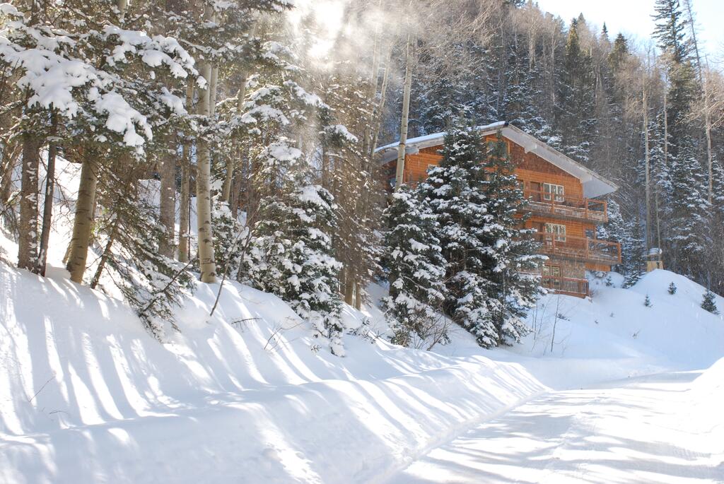 Aspen 1 - thumb 3