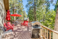 Aspen Vista Tourism Bookings