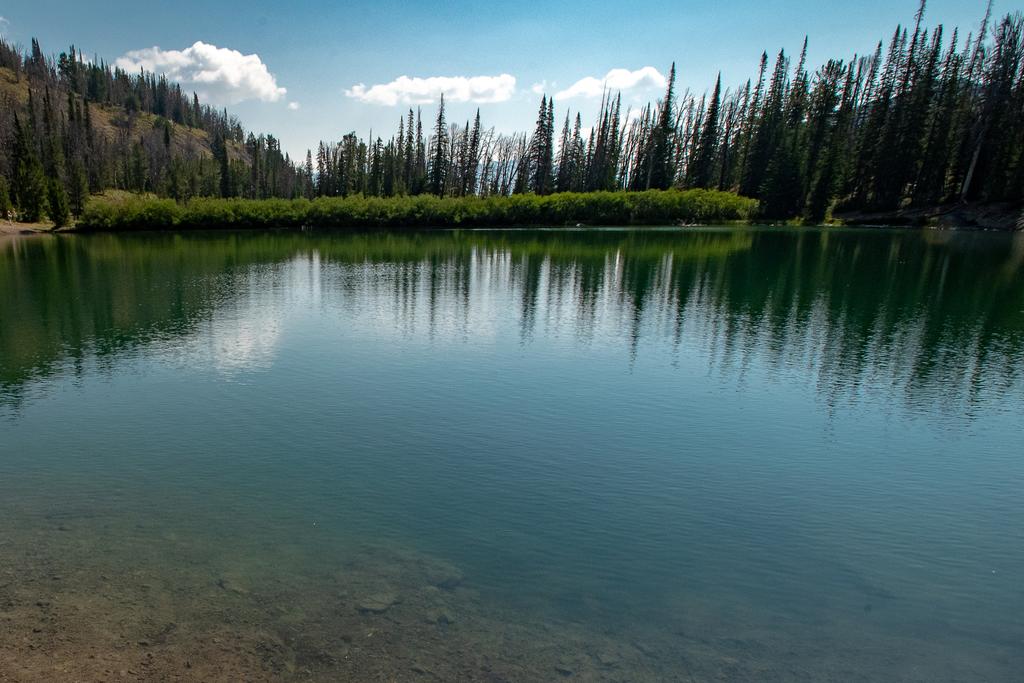 Atelier 1015 - thumb 0