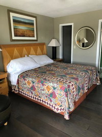 Avon Motel Tourism Bookings