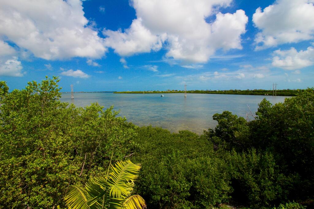 Banana Breeze - thumb 2