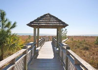 Barefoot Gypsy Tourism Bookings
