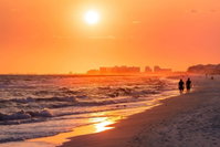 Bayou Breeze Tourism Bookings