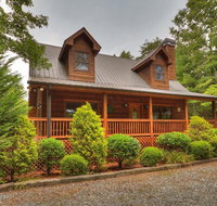 Bear Dance - Tourism Bookings