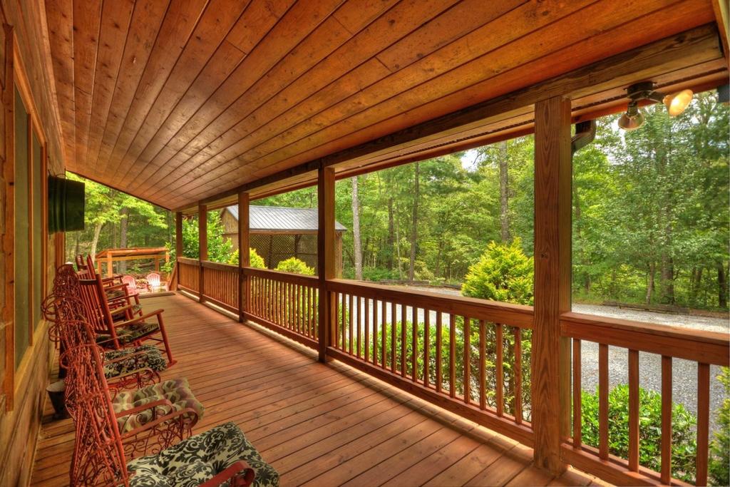 Bear Dance - thumb 3