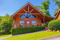 Bear Hollow Tourism Bookings