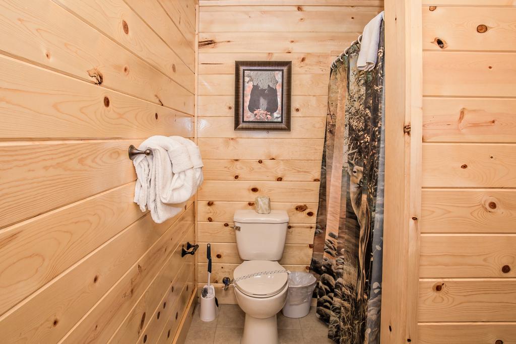 Bear Waves - thumb 2