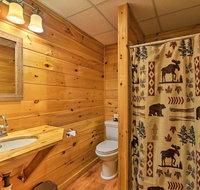 Bear-A-Ventura Oasis Cabin in Blue Ridge Mountains - Tourism Bookings