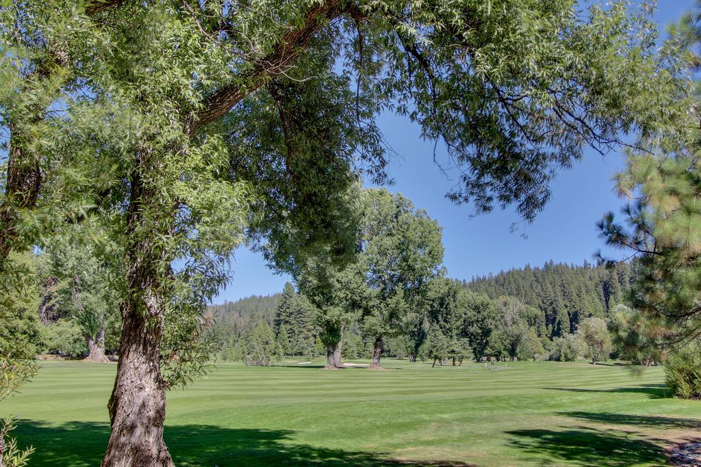 Bears Meadow - thumb 3