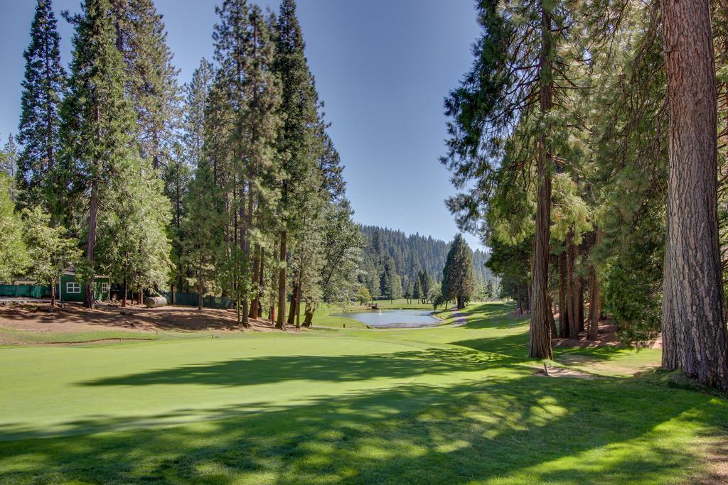 Bears Meadow - thumb 2