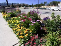Beaver Village 4-22 Condo Tourism Bookings