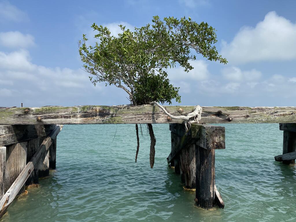 BELLISSIMA BY THE BEACH - thumb 2