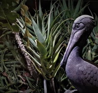 Berbeda Place - Tourism Bookings