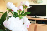 Best Kept Secret Westridge Condo Hotels Santiago