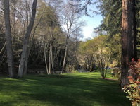 Booking Big-sur Tourism Bookings