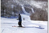 Book Claysburg Hotels, Tourism Bookings Tourism Bookings