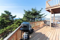 Blue Pacifica Tourism Bookings