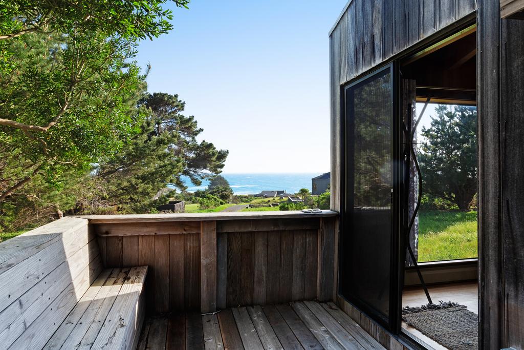 Blue Paloma - thumb 2