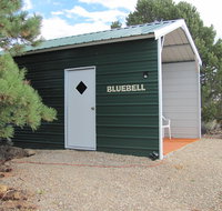 Bluebell Cabin - Tourism Bookings