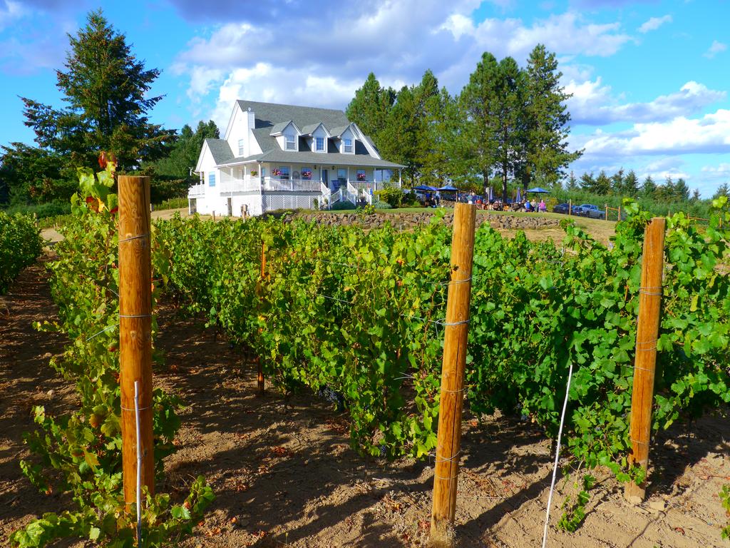 Bluebird Hill Farm B&B - thumb 0