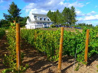Bluebird Hill Farm BB Tourism Bookings