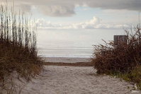 Bottoms' Up Beach Cottage Tourism Bookings