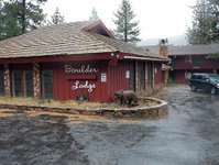 Boulder Lodge Tourism Bookings