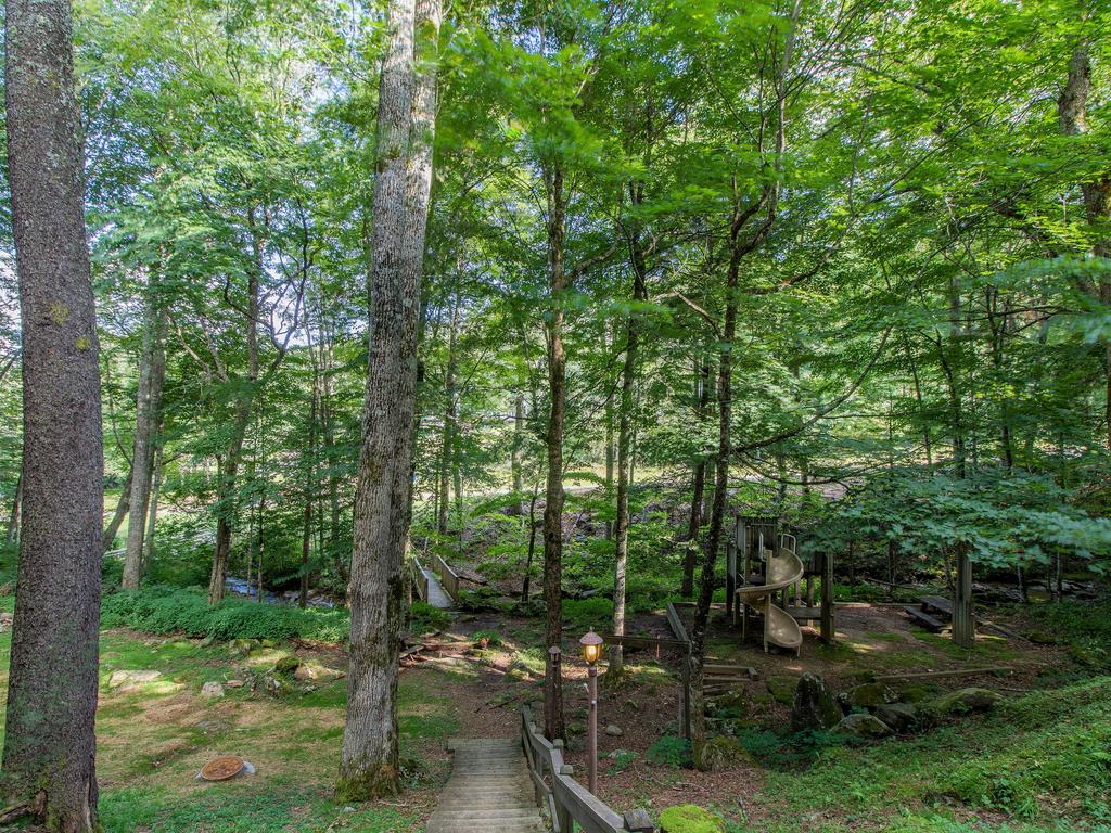 Branches 11 - thumb 1