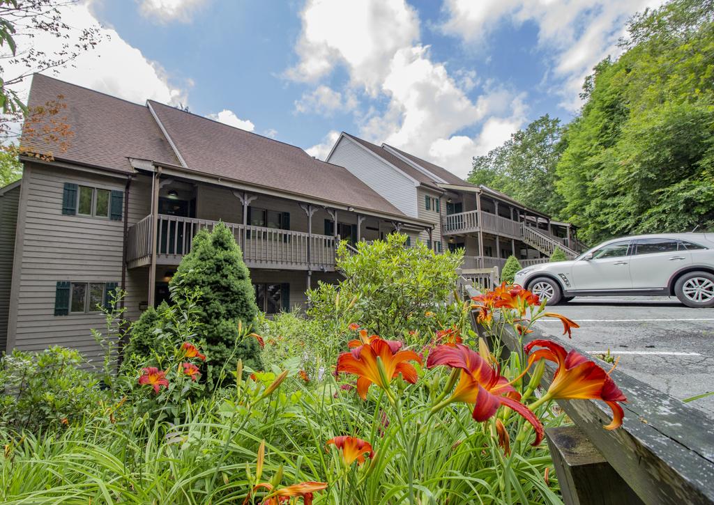 Branches 11 - thumb 0