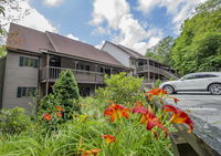 Branches 11 Tourism Bookings