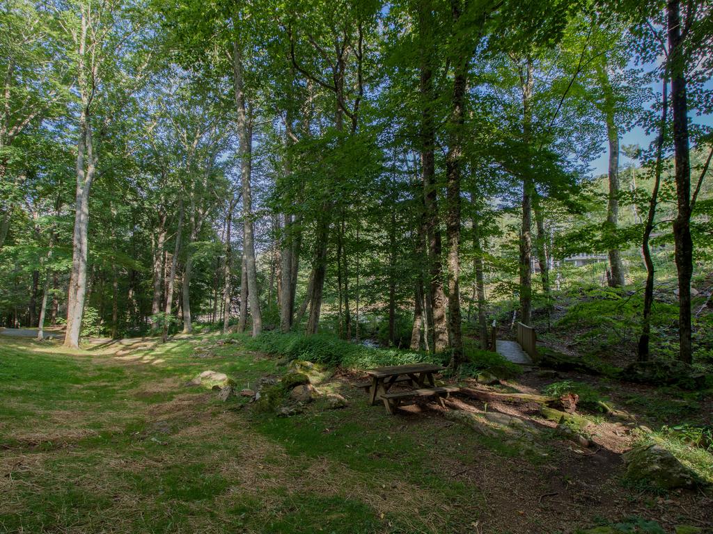 Branches 11 - thumb 3