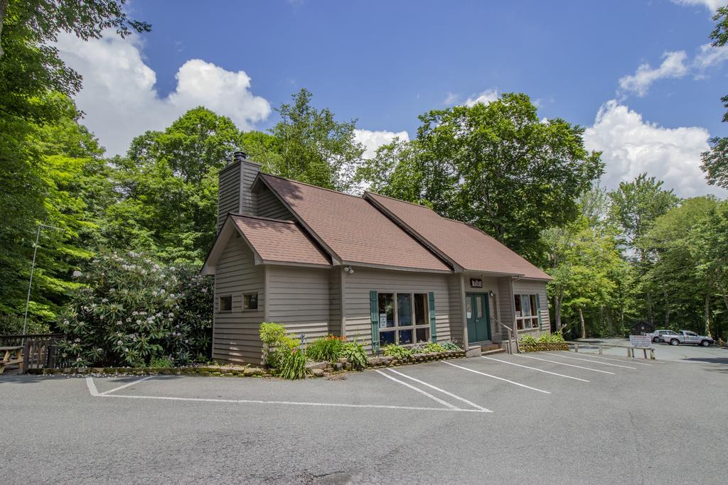 Branches 12 - thumb 3