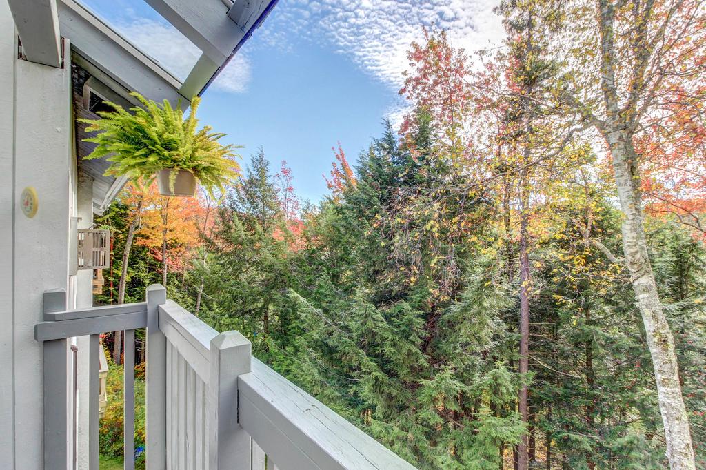 Bridges 52 - thumb 1