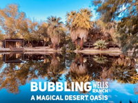 Bubbling Wells Ranch Tourism Bookings