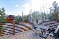 Buffalo Mountain Vista Home Tourism Bookings