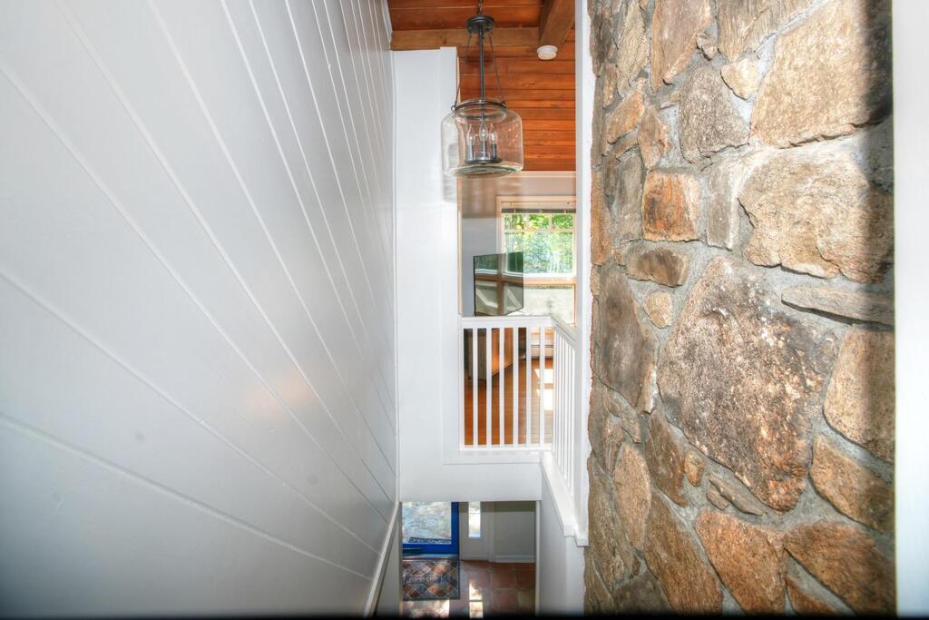 C464 Shadberry - thumb 3