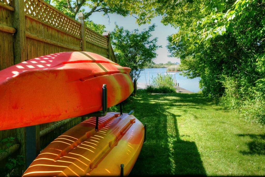 C464 Shadberry - thumb 2