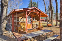 Cabin Walk to Dwntn Buena Vista and Arkansas River USA Accommodation
