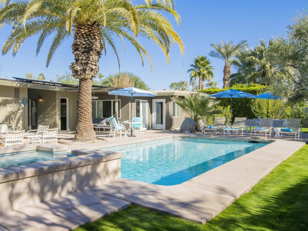 Canary Palms - thumb 0