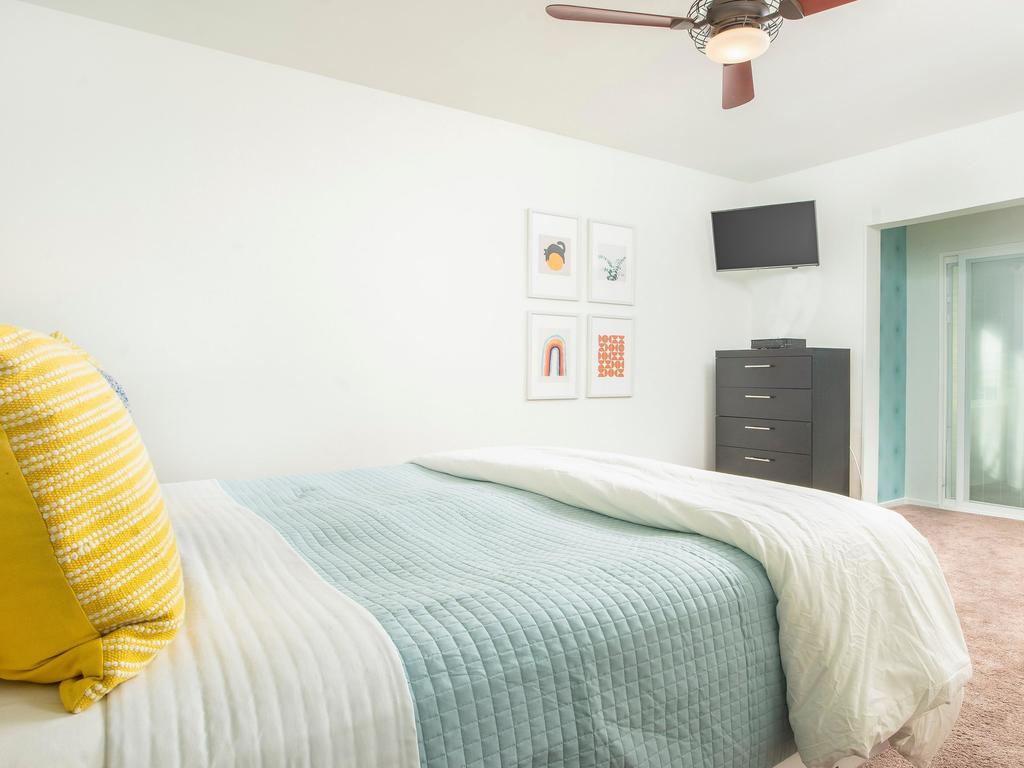 Canary Palms - thumb 1