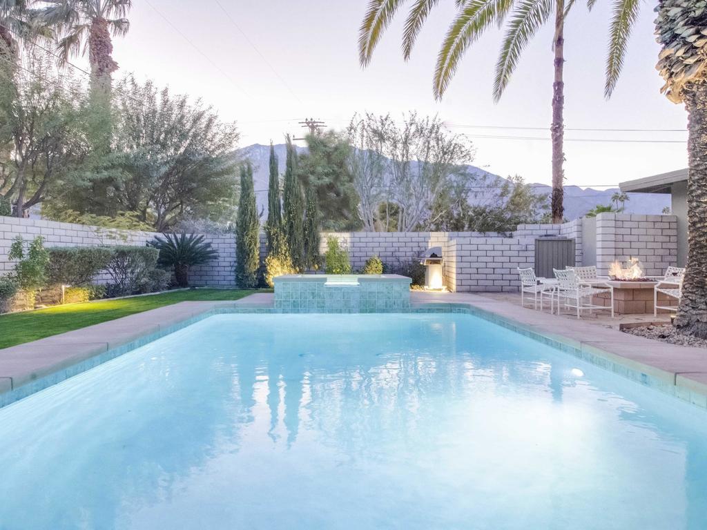 Canary Palms - thumb 3