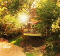 Cardinal Casita Tourism Bookings