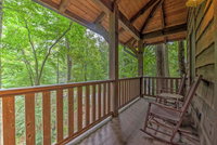 Cardinal's Cove Cabin Tourism Bookings