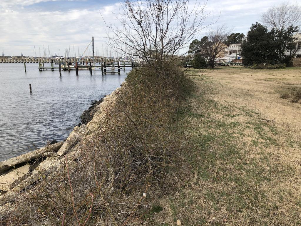 Charming Waterfront Cabin - thumb 1