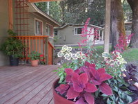 China Creek Cottages Tourism Bookings