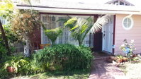 Classic Laguna Beach Cottage 2 blocks to Beach Hystler Park and Village center Tourism Bookings