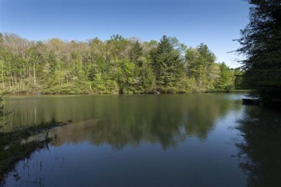 Clear Lake - thumb 2
