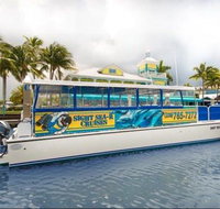 Cloud Nine - Tourism Bookings